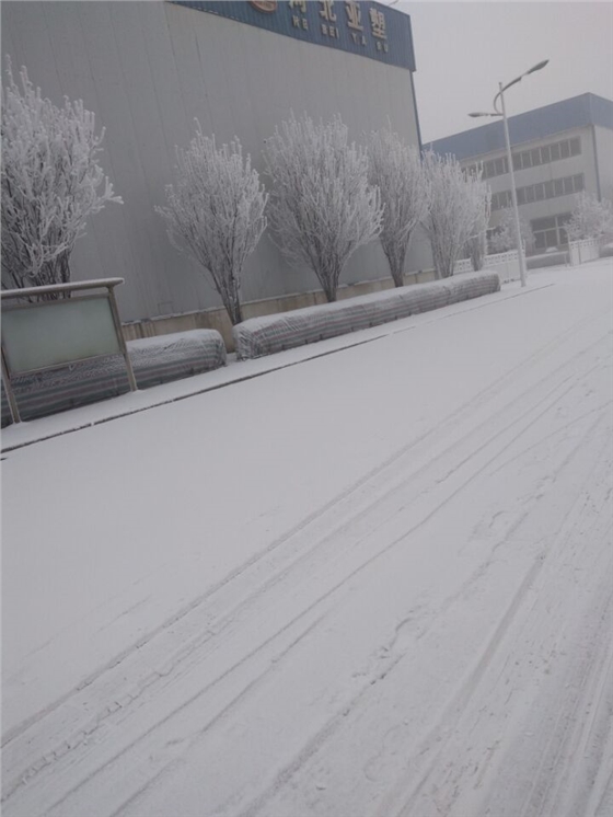 QQ圖片20161224082107.jpg